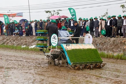 Trình diễn máy cấy trên cánh đồng thuộc xã Yên Thắng (Yên Mô, Ninh Bình) trong Ngày hội công nghệ Globalcheck. (Ảnh: XUÂN TRƯỜNG)
