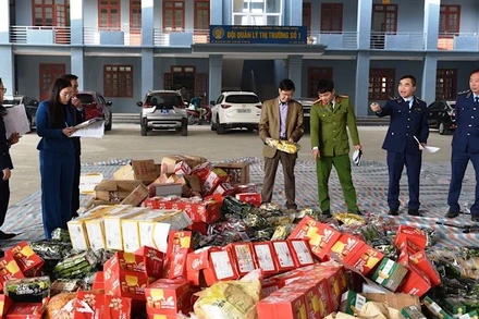 Kiểm đếm hàng hóa trước khi tiêu hủy ngày 28/12. (Ảnh: XUÂN TRƯỜNG)