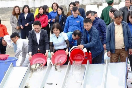 Các đại biểu dự Lễ phát động thả con giống thủy sản các loại xuống sông Hồng đoạn qua địa bàn xã Mỹ Tân, thành phố Nam Định, tỉnh Nam Định.