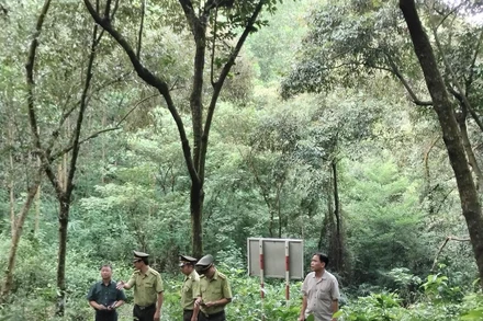 Cán bộ Chi cục kiểm lâm Hải Dương kiểm tra công tác bảo vệ rừng ở xã Hoàng Hoa Thám, thành phố Chí Linh.