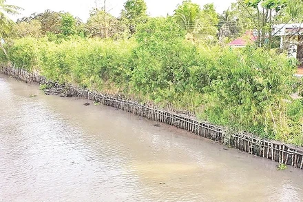 Kè sinh thái dọc tuyến sông huyện Châu Thành A, tỉnh Hậu Giang.