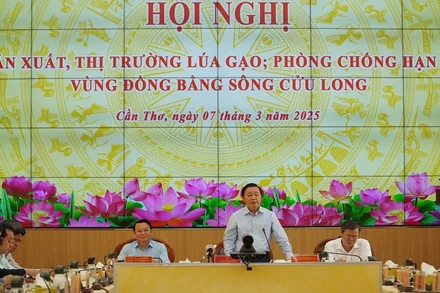Phó Thủ tướng Trần Hồng Hà phát biểu tại hội nghị. 