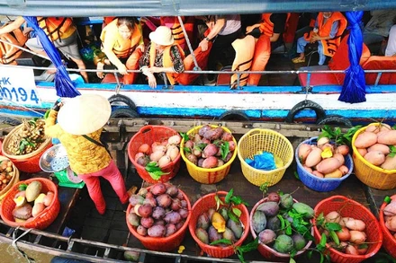 Du khách trải nghiệm cảnh mua bán trái cây trên chợ nổi Cái Răng.