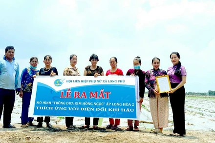 Lễ ra mắt mô hình trồng dưa Kim Hồng Ngọc của bà Trần Thị Liễu. 