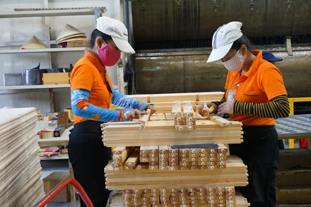 Sản xuất mặt hàng gỗ xuất khẩu.