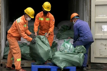 Vận chuyển tang vật đi tiêu hủy.