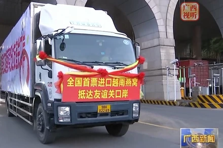 Lô sản phẩm tổ yến đầu tiên của Việt Nam thông quan tại cửa khẩu của Quảng Tây, Trung Quốc. (Ảnh: Cắt từ clip của Đài Truyền hình Quảng Tây)