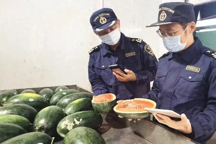 Hải quan Trung Quốc kiểm tra dưa hấu Việt Nam tại cửa khẩu Hữu Nghị Quan (Quảng Tây).