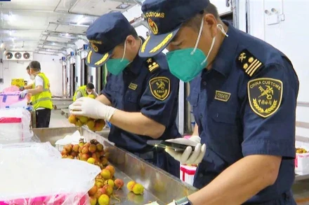 Hải quan Trung Quốc kiểm tra các lô hàng vải thiều Việt Nam. (Ảnh: CCTV)