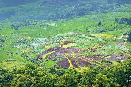 [Video] Độc đáo ruộng bậc thang Hà Nhì ở Trung Quốc
