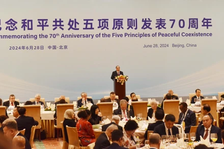 Đồng chí Nông Đức Mạnh, nguyên Tổng Bí thư Ban Chấp hành Trung ương Đảng Cộng sản Việt Nam phát biểu tại một sự kiện trong khuôn khổ Lễ kỷ niệm.