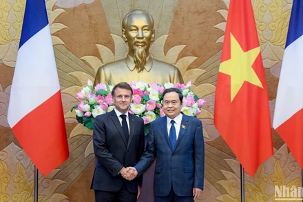 Chủ tịch Quốc hội Trần Thanh Mẫn hội kiến Tổng thống Pháp Emmanuel Macron.