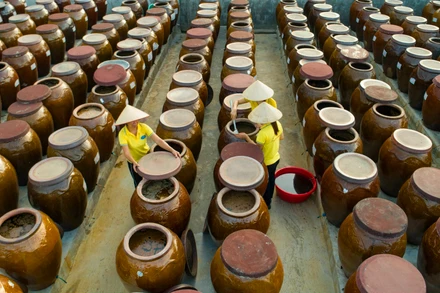 Hợp tác xã thu mua và chế biến thủy, hải sản Chiến Thắng, xã Kỳ Ninh, thị xã Kỳ Anh, tỉnh Hà Tĩnh hối hả phục vụ hàng Tết.