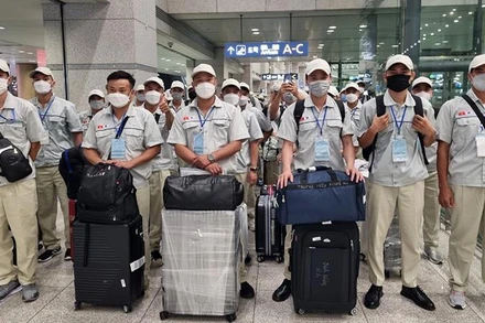 Lao động đi làm việc tại Hàn Quốc. (Ảnh: Colab)