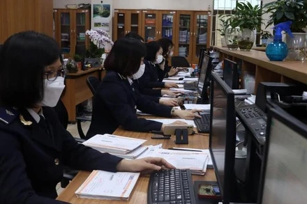 Hoạt động tại Cục Hải quan Hải Phòng. (Ảnh: nhandan.vn)