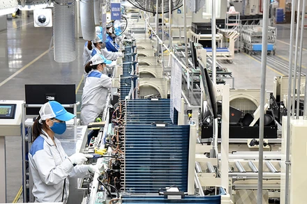 (Ảnh: Trần Hải)