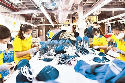 Lao động tại Công ty TNHH May mặc Dony, huyện Bình Chánh, TP Hồ Chí Minh. (Ảnh minh họa: Quang Quý)