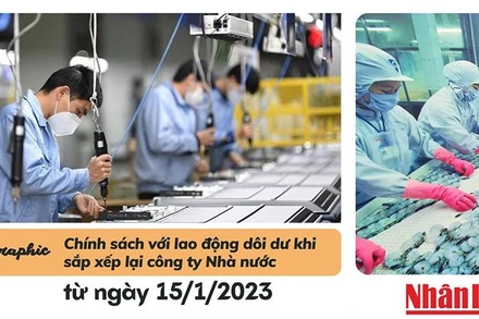  [Infographic] Chính sách mới với lao động dôi dư khi sắp xếp lại công ty Nhà nước