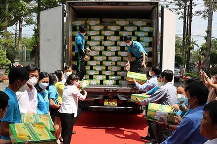 Lô xoài xuất khẩu đầu tiên của Đồng Tháp sang châu Âu (Ảnh: Hữu Nghĩa).