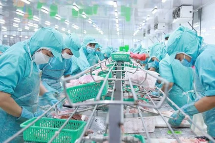 Lao động tại Công ty Sao Mai (Ảnh minh họa: nhandan.vn).