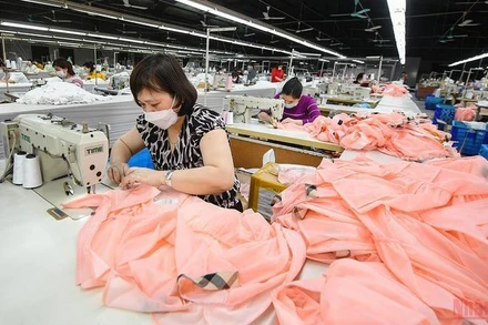 Ảnh minh họa: Thành Đạt.