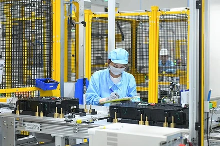 Ảnh: Thành Đạt.