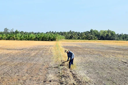 [Video] Khuyến cáo nông dân tuân thủ lịch gieo sạ và ứng phó hạn, mặn 