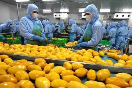 [Video] Nguồn cung rau quả chế biến từ Việt Nam sang Mỹ tăng 57,7% trong 2 tháng đầu năm 2025