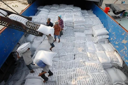 [Video] Giá gạo xuất khẩu của Việt Nam cao nhất thế giới