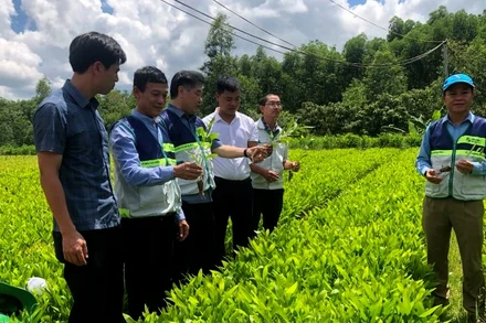 [Video] Phê duyệt Đồ án Quy hoạch chung xây dựng Khu lâm nghiệp ứng dụng công nghệ cao vùng Bắc Trung Bộ