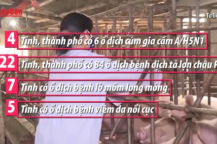 [Video] Triển khai các giải pháp phòng, chống dịch bệnh gia súc, gia cầm 