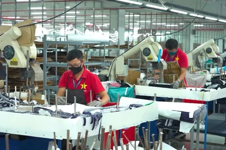 [Video] Hà Nội giới thiệu mô hình tư vấn, hỗ trợ thành lập mới doanh nghiệp miễn phí