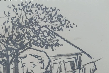 Những chậu hoa giấy