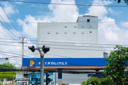 Hàng nghìn hộ nuôi chim yến tràn lan tại thành phố Bạc Liêu.