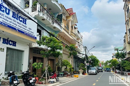 Nhiều tuyến đường ở Bạc Liêu hai hàng cây xanh đang rất đẹp, nhưng bị "bứng không thương tiếc" để thực hiện dự án trồng cây khác, gây lãng phí rất lớn, khiến nhiều cán bộ, nhân dân rất bức xúc, bất bình. (Ảnh: TRỌNG DUY)