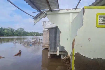Nhiều ngôi nhà của người dân tại khu vực thị xã Giá Rai (Bạc Liêu) bị sạt lở xuống sông.