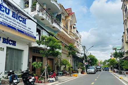 Tuyến đường Lý Thường Kiệt, phường 3, thành phố Bạc Liêu (tỉnh Bạc Liêu), hai bên đường được trồng cây Viết, có gần 30 năm tuổi đang xanh tốt, rất đẹp mắt. Nhưng, không hiểu sao đơn vị chức năng "bứng" đi để trồng các cây khác, khiến nhiều cán bộ, nhân dân rất bức xúc. (Ảnh: TRỌNG DUY)