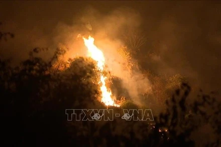 Chiều 23/1, trên núi Phủ Khống, thuộc xã Trường Yên, thành phố Hoa Lư, tỉnh Ninh Bình xảy ra vụ cháy rừng đặc dụng. Khu vực này nằm trong Quần thể danh thắng Tràng An.