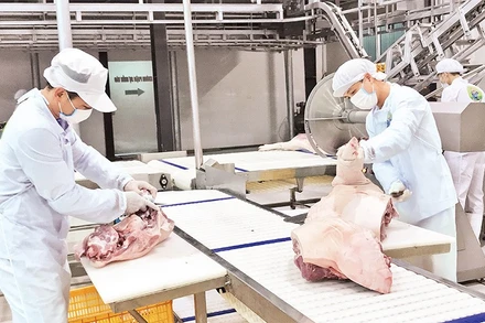 Cơ sở giết mổ gia súc hiện đại tại xã Vạn Phúc, huyện Thanh Trì.