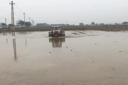 Nông dân tỉnh Nam Định làm đất chuẩn bị gieo cấy lúa đông xuân.