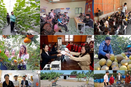 Nguồn vốn chính sách đã và đang hỗ trợ hộ nghèo phát triển kinh tế bền vững.