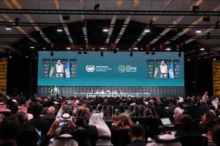 Lễ khai mạc Hội nghị lần thứ 16 các bên tham gia Công ước Liên hợp quốc về chống sa mạc hóa (COP16) tại Riyadh, Saudi Arabia ngày 2/12/2024. Ảnh: THX/TTXVN