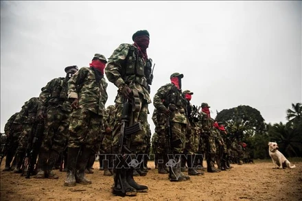 Các tay súng ELN tại khu vực Choco, Colombia. Ảnh: AFP/ TTXVN