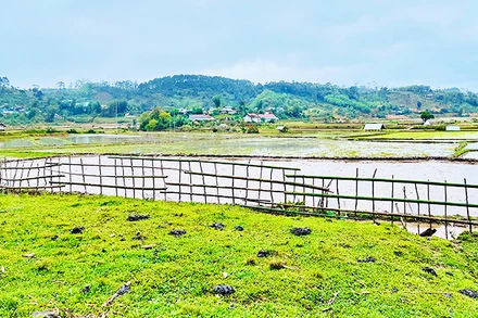 Dung dị với Kon Vơng Kia