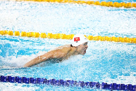 Bơi lội Việt Nam sẵn sàng vươn lên những đỉnh cao mới sau SEA Games. Ảnh: NHƯ ĐẠT