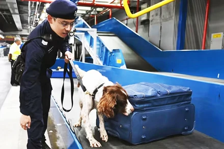 Lực lượng an ninh Singapore kiểm tra ma túy tại sân bay. Ảnh: CNB