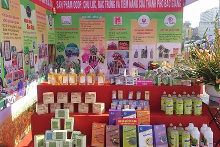 Trưng bày sản phẩm tại Ngày hội