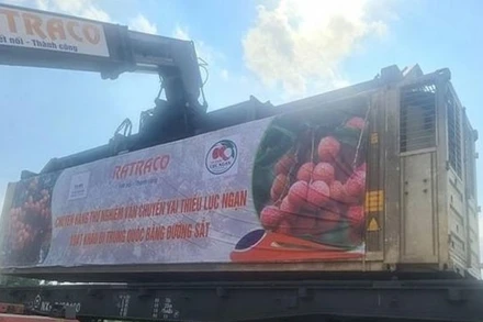 Lô hàng vải thiều đầu tiên xuất khẩu bằng đường sắt sang Trung Quốc.