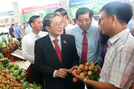 Phó Chủ tịch Quốc hội Nguyễn Đức Hải tham quan gian trưng bày vải thiều tại hội nghị.