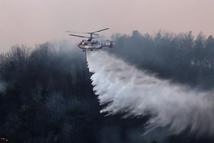 [Video] Hàn Quốc khống chế hoàn toàn cháy rừng lịch sử tại Gyeongsang Bắc